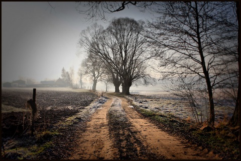 Kliknij na zdjęcie, żeby zobaczyć w pełnych wymiarach