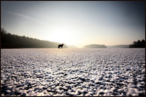 Kliknij na zdjęcie, żeby zobaczyć w pełnych wymiarach