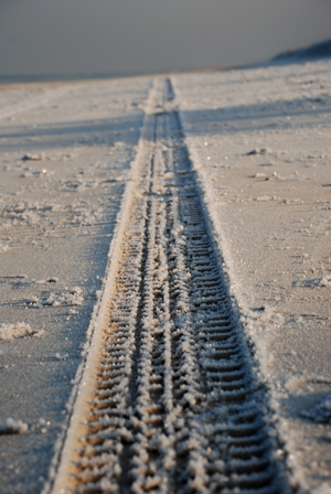 Kliknij na zdjęcie, żeby zobaczyć w pełnych wymiarach