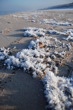 Kliknij na zdjęcie, żeby zobaczyć w pełnych wymiarach