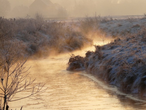 Kliknij na zdjęcie, żeby zobaczyć w pełnych wymiarach