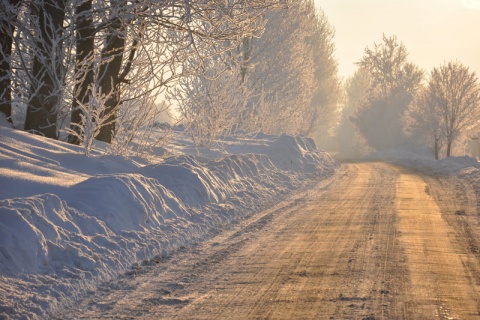 Kliknij na zdjęcie, żeby zobaczyć w pełnych wymiarach