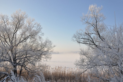 Kliknij na zdjęcie, żeby zobaczyć w pełnych wymiarach