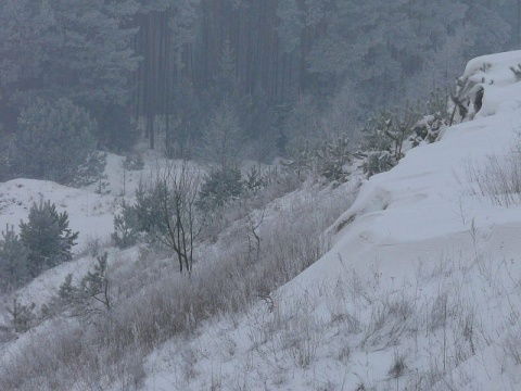 Kliknij na zdjęcie, żeby zobaczyć w pełnych wymiarach