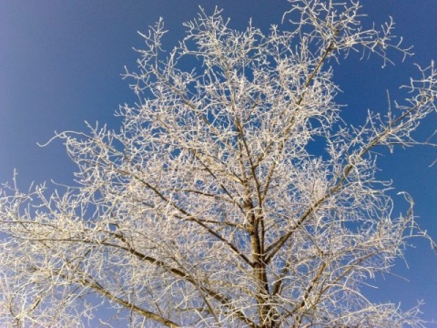 Kliknij na zdjęcie, żeby zobaczyć w pełnych wymiarach
