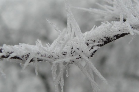 Kliknij na zdjęcie, żeby zobaczyć w pełnych wymiarach