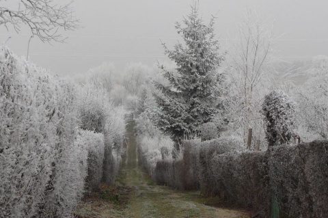 Kliknij na zdjęcie, żeby zobaczyć w pełnych wymiarach