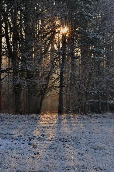 Kliknij na zdjęcie, żeby zobaczyć w pełnych wymiarach