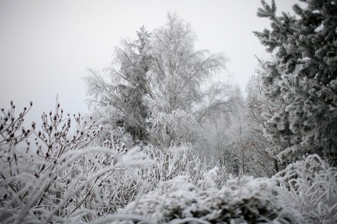 Kliknij na zdjęcie, żeby zobaczyć w pełnych wymiarach