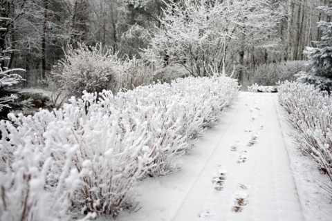 Kliknij na zdjęcie, żeby zobaczyć w pełnych wymiarach