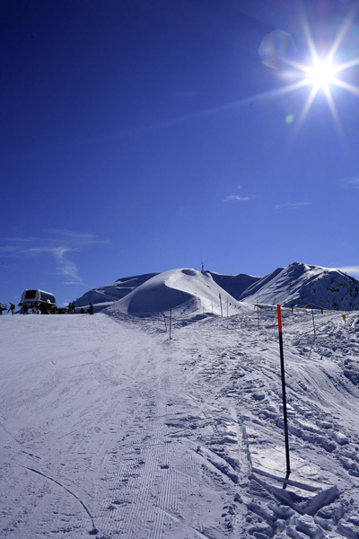 Kliknij na zdjęcie, żeby zobaczyć w pełnych wymiarach