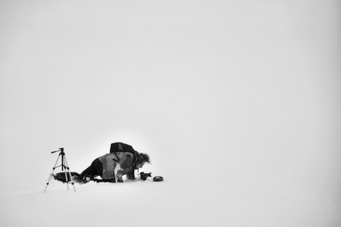 Kliknij na zdjęcie, żeby zobaczyć w pełnych wymiarach