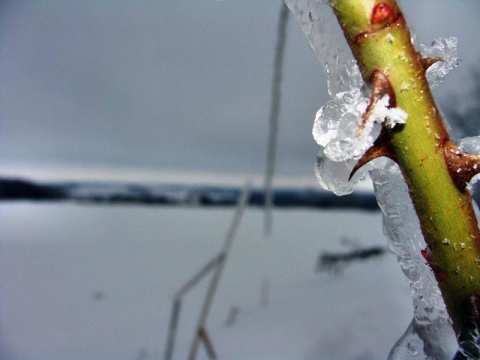 Kliknij na zdjęcie, żeby zobaczyć w pełnych wymiarach