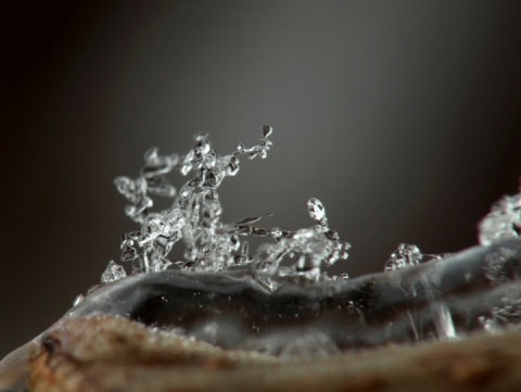 Kliknij na zdjęcie, żeby zobaczyć w pełnych wymiarach