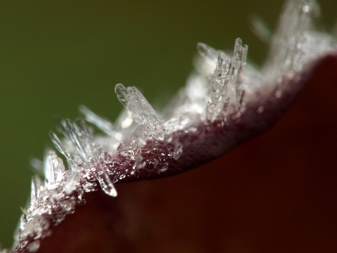 Kliknij na zdjęcie, żeby zobaczyć w pełnych wymiarach