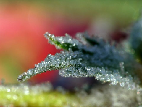 Kliknij na zdjęcie, żeby zobaczyć w pełnych wymiarach