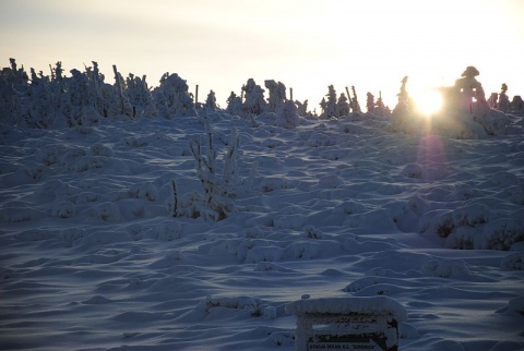 Kliknij na zdjęcie, żeby zobaczyć w pełnych wymiarach