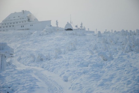 Kliknij na zdjęcie, żeby zobaczyć w pełnych wymiarach