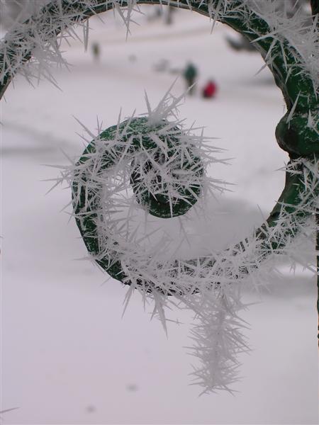 Kliknij na zdjęcie, żeby zobaczyć w pełnych wymiarach