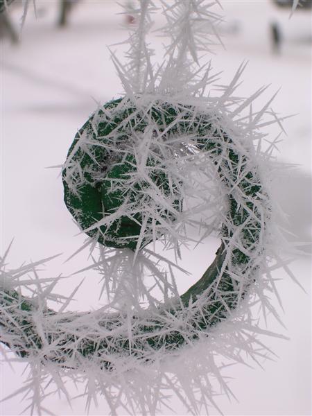 Kliknij na zdjęcie, żeby zobaczyć w pełnych wymiarach