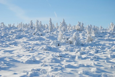 Kliknij na zdjęcie, żeby zobaczyć w pełnych wymiarach