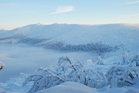 Kliknij na zdjęcie, żeby zobaczyć w pełnych wymiarach