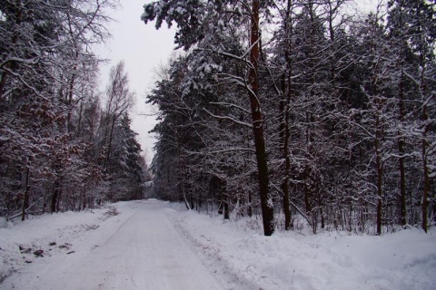 Kliknij na zdjęcie, żeby zobaczyć w pełnych wymiarach