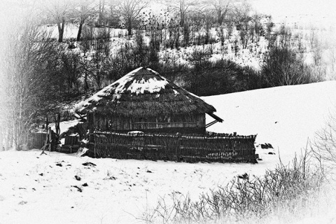 Kliknij na zdjęcie, żeby zobaczyć w pełnych wymiarach