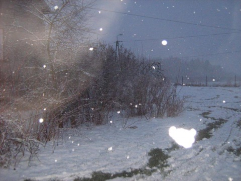 Kliknij na zdjęcie, żeby zobaczyć w pełnych wymiarach