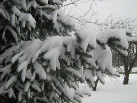 Kliknij na zdjęcie, żeby zobaczyć w pełnych wymiarach