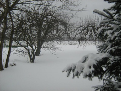 Kliknij na zdjęcie, żeby zobaczyć w pełnych wymiarach