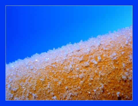 Kliknij na zdjęcie, żeby zobaczyć w pełnych wymiarach