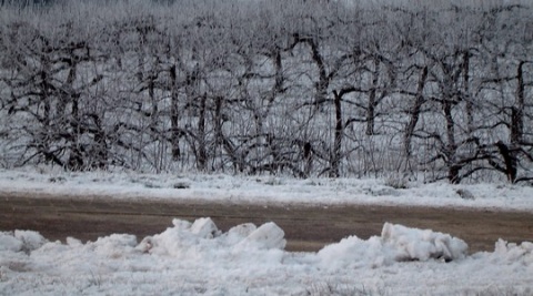 Kliknij na zdjęcie, żeby zobaczyć w pełnych wymiarach