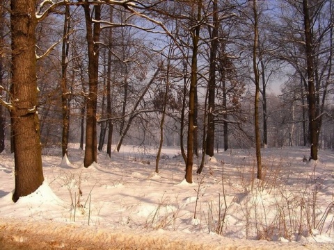 Kliknij na zdjęcie, żeby zobaczyć w pełnych wymiarach