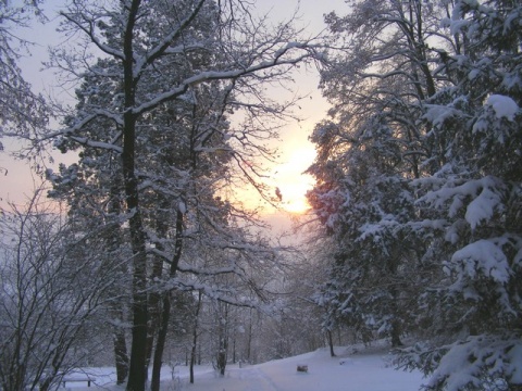 Kliknij na zdjęcie, żeby zobaczyć w pełnych wymiarach
