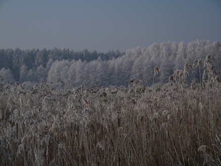 Kliknij na zdjęcie, żeby zobaczyć w pełnych wymiarach