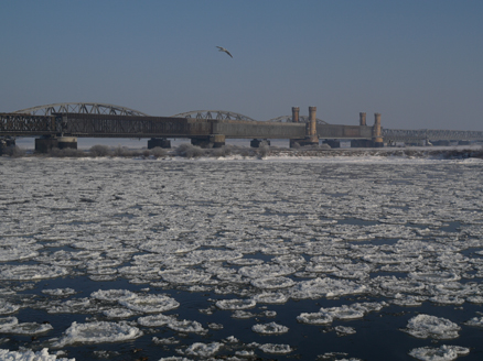 Kliknij na zdjęcie, żeby zobaczyć w pełnych wymiarach
