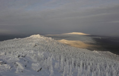 Kliknij na zdjęcie, żeby zobaczyć w pełnych wymiarach