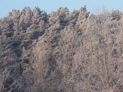 Kliknij na zdjęcie, żeby zobaczyć w pełnych wymiarach