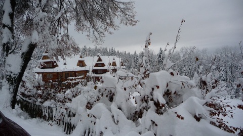 Kliknij na zdjęcie, żeby zobaczyć w pełnych wymiarach