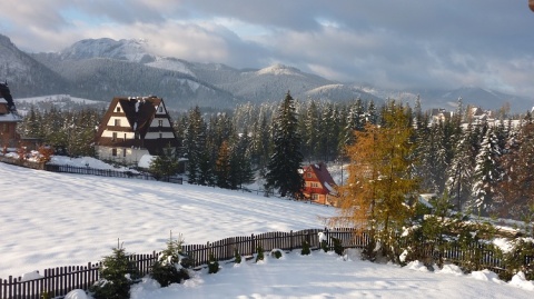 Kliknij na zdjęcie, żeby zobaczyć w pełnych wymiarach