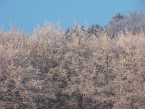 Kliknij na zdjęcie, żeby zobaczyć w pełnych wymiarach