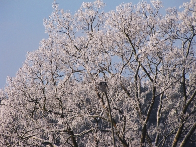Kliknij na zdjęcie, żeby zobaczyć w pełnych wymiarach