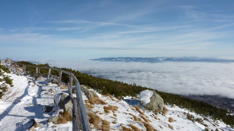 Kliknij na zdjęcie, żeby zobaczyć w pełnych wymiarach