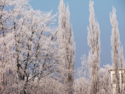 Kliknij na zdjęcie, żeby zobaczyć w pełnych wymiarach