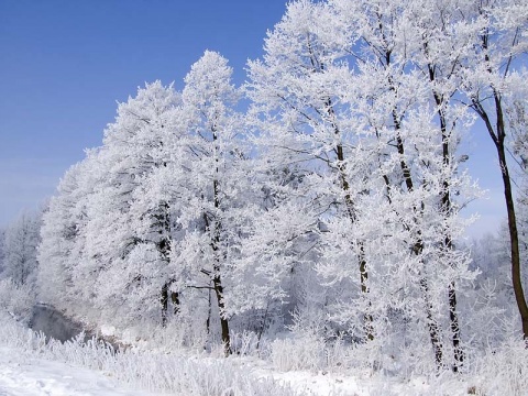 Kliknij na zdjęcie, żeby zobaczyć w pełnych wymiarach