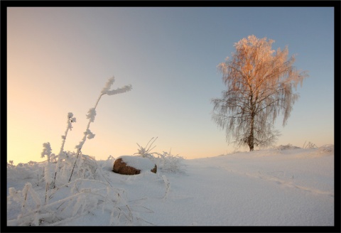 Kliknij na zdjęcie, żeby zobaczyć w pełnych wymiarach