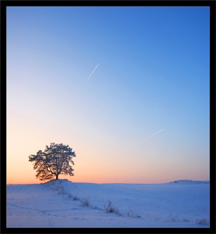 Kliknij na zdjęcie, żeby zobaczyć w pełnych wymiarach