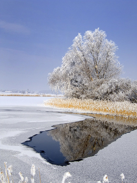 Kliknij na zdjęcie, żeby zobaczyć w pełnych wymiarach