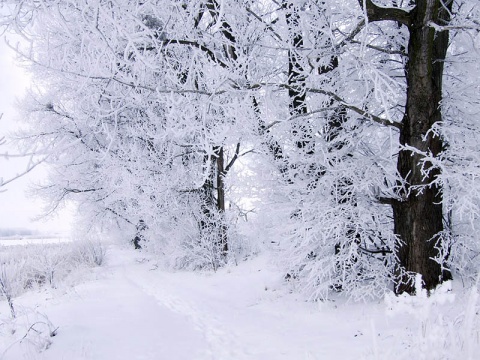 Kliknij na zdjęcie, żeby zobaczyć w pełnych wymiarach